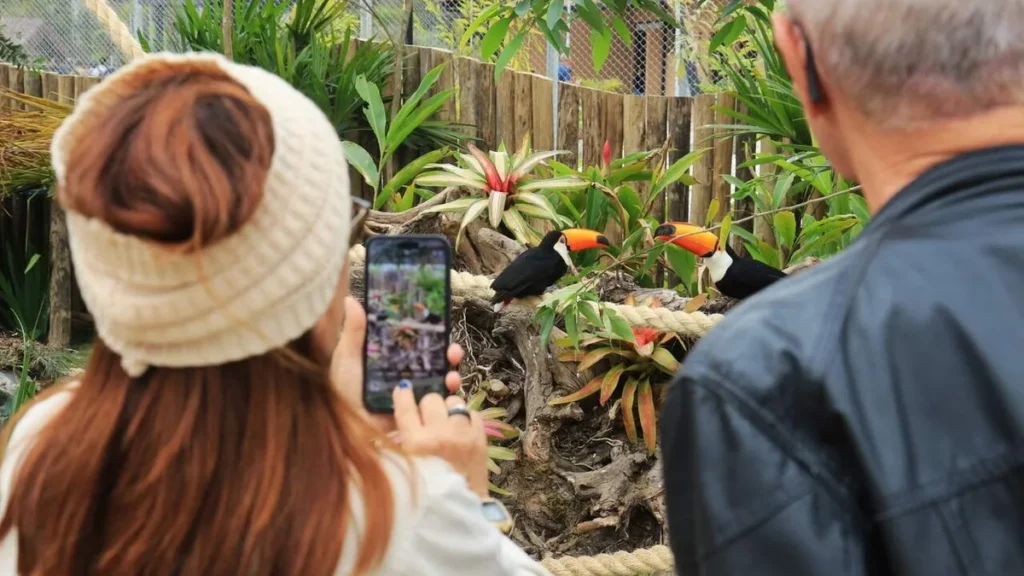 Imagem Refugio das Aves 5 do artigo Conheça o Refúgio de Aves no Parque Três Pescadores