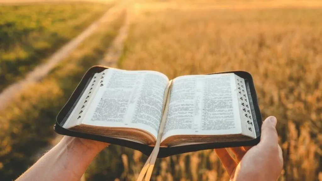 Imagem Maos segurando a Biblia do artigo Vamos ser palavras vivas de amor e misericórdia