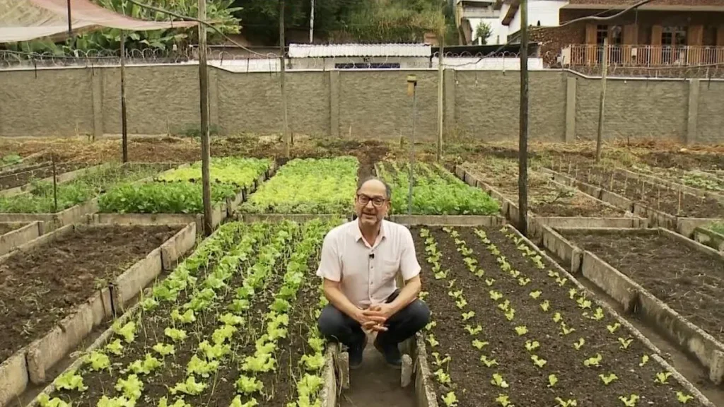 Imagem bencao da manha 3 do artigo Aprenda com o Irmão Murad a importância da alface na alimentação