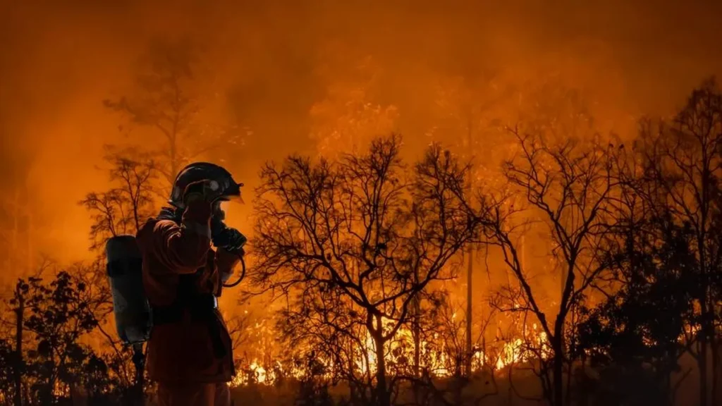 Imagem queimadas na Amazonia do artigo CNBB divulga nota e alerta de atenção aos eventos climáticos extremos