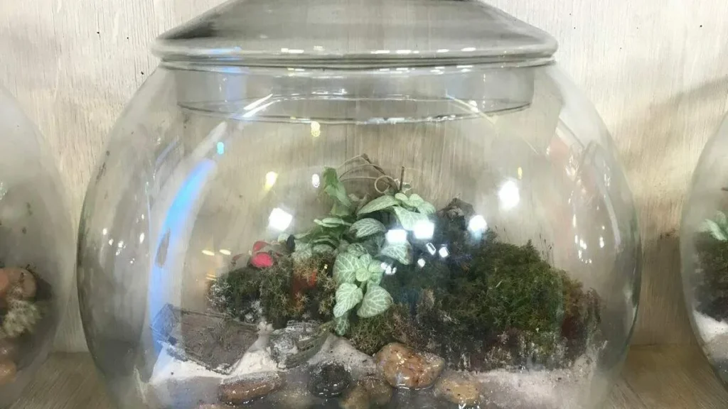 Imagem terrario com lago em resina epox faca voce mesmo do artigo Terrário com lago em resina epóx - Faça Você Mesmo