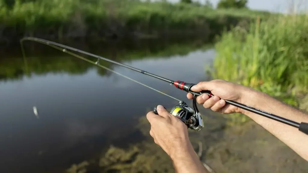Imagem Maos pescando com vara do artigo Dia Mundial da Pesca: a busca pelo equilíbrio do trabalho e o meio ambiente