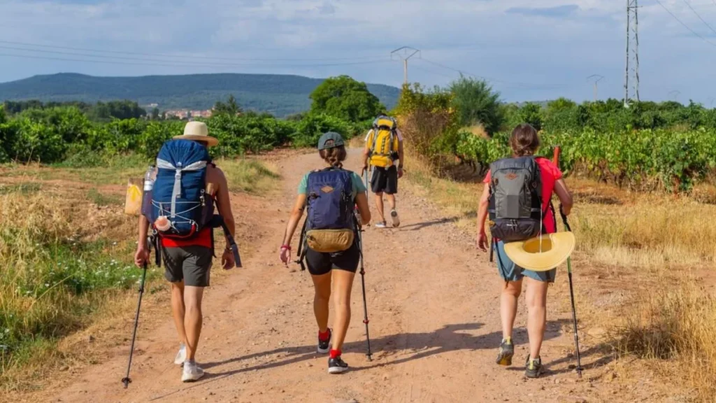 Imagem Peregrinos do artigo Papa fala sobre peregrinar em novo livro "A fé é uma viagem"