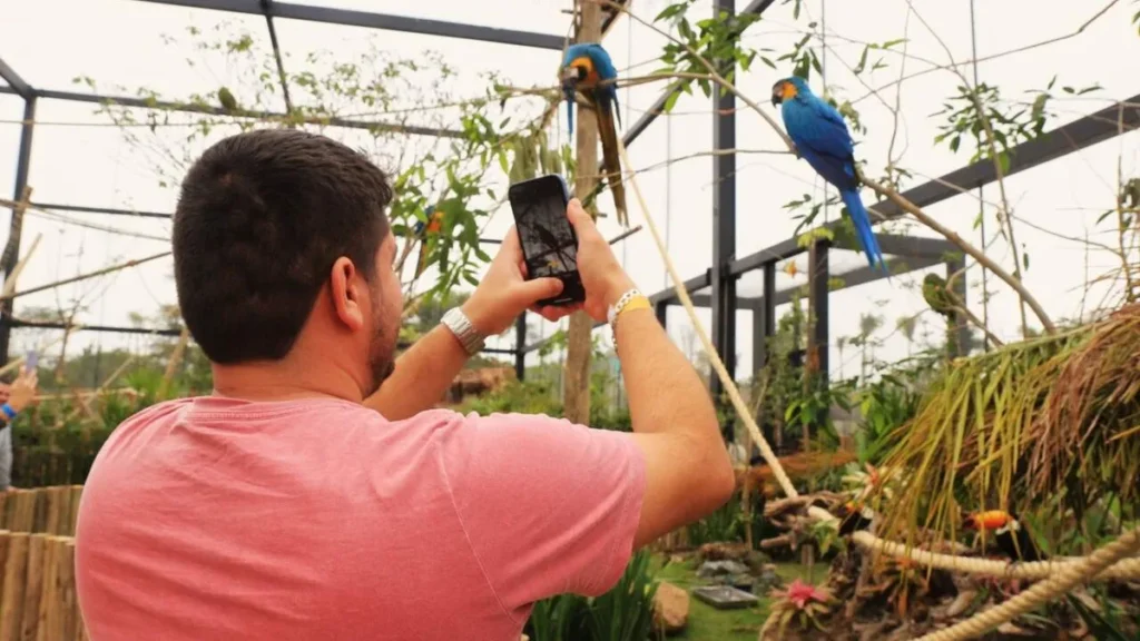 Imagem tirando foto no Refugio das Aves do artigo Parque Três Pescadores em Aparecida acolhe animais resgatados de maus tratos