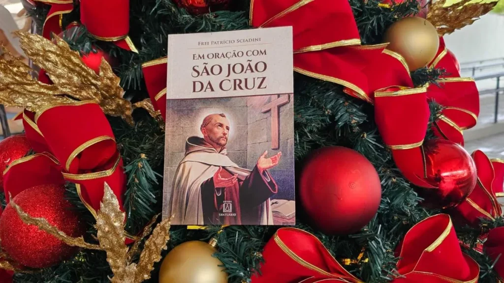Imagem trechos que tocam a alma sao joao da cruz do artigo 15 lições de São João da Cruz para transformar sua alma