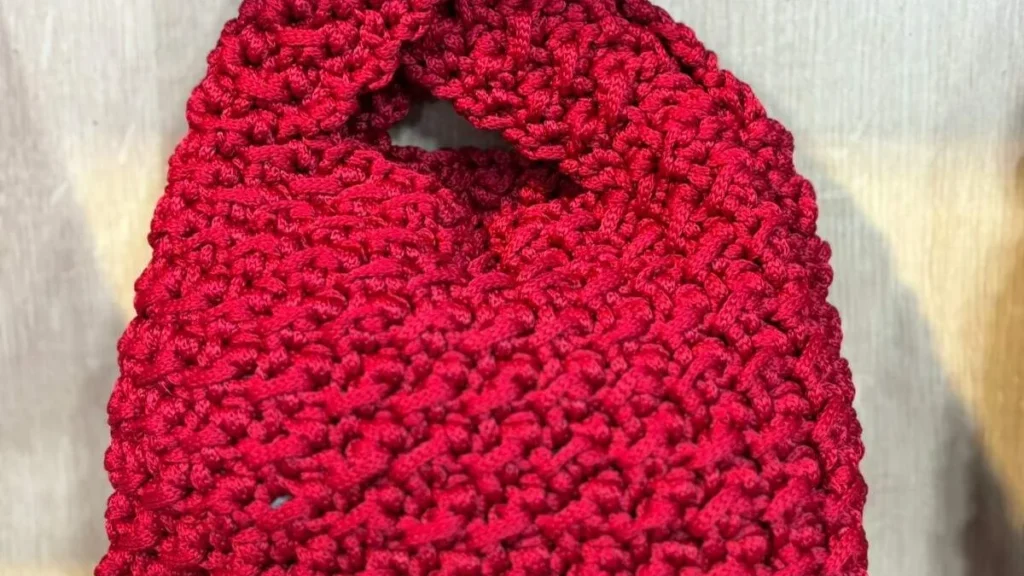 Imagem bolsa saco hianna faca voce mesmo do artigo Bolsa saco Hianna - Faça Você Mesmo