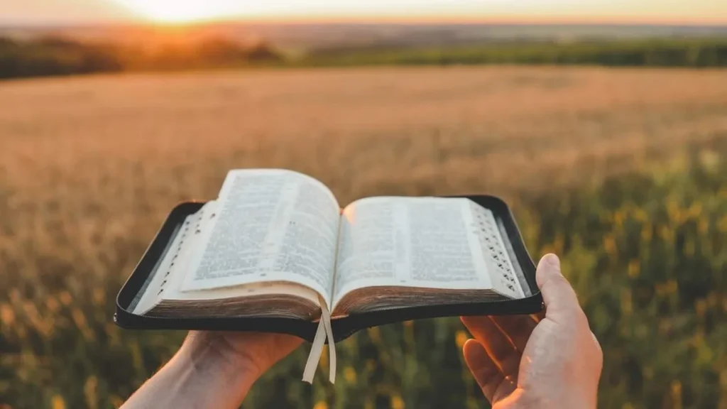 Imagem Palavra de Deus e Ecologia do artigo Como a Ecologia Integral está presente na Palavra de Deus?