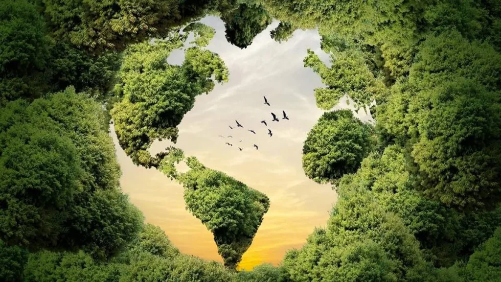 Imagem mata com por do sol ao fundo do artigo Conheça o significado dos elementos do Cartaz da Campanha da Fraternidade