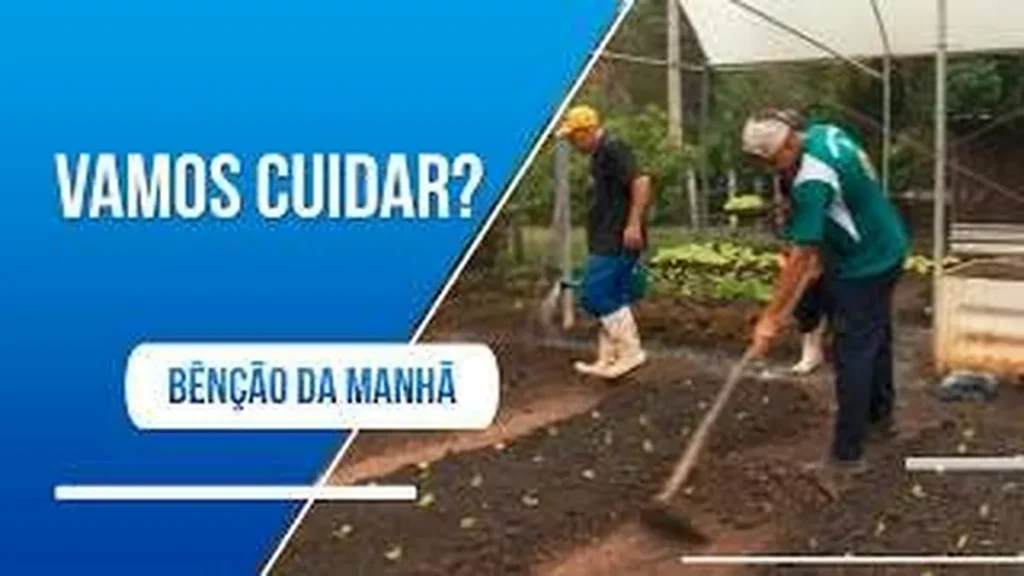 Imagem vamos plantar faca uma horta e experimente o c do artigo Vamos plantar! Faça uma horta e experimente o contato com a terra