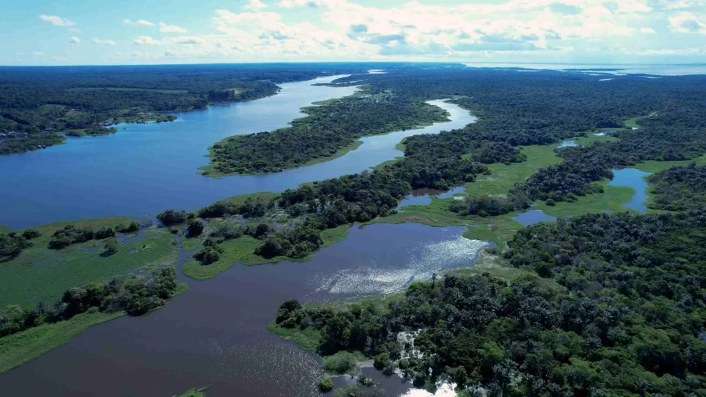 Imagem floresta amazonica do artigo Bispos da Amazônia se reúnem com Ministério do Meio Ambiente