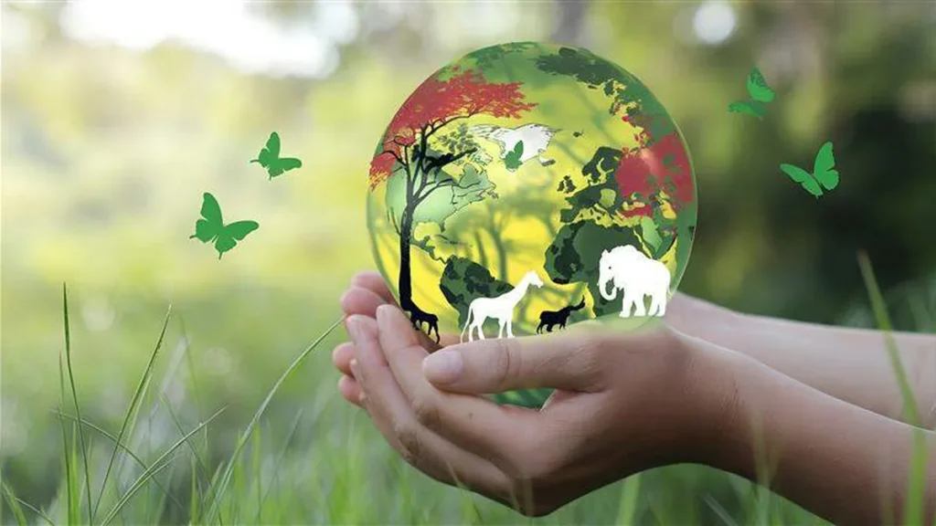 Imagem AdobeStock 1095939442 do artigo Fé e meio ambiente: somos parte da natureza