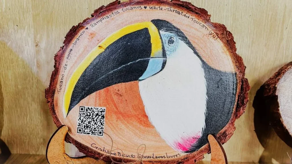 Imagem Pintura Tucano FVM do artigo Pintura de tucano na madeira - Faça Você Mesmo
