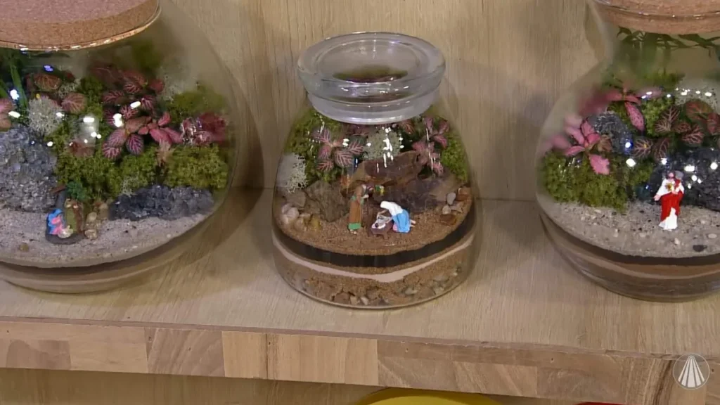 Imagem terrario natalino fvm do artigo Terrário Natalino (Montagem de Terrário Natural) - Faça Você Mesmo